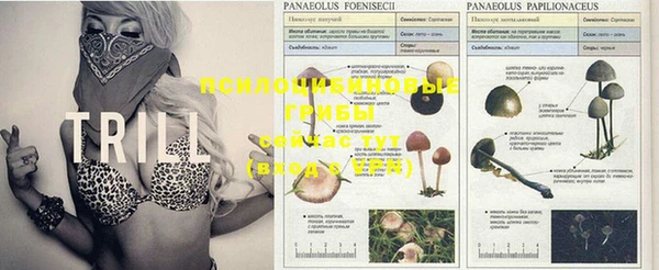 винт Семикаракорск