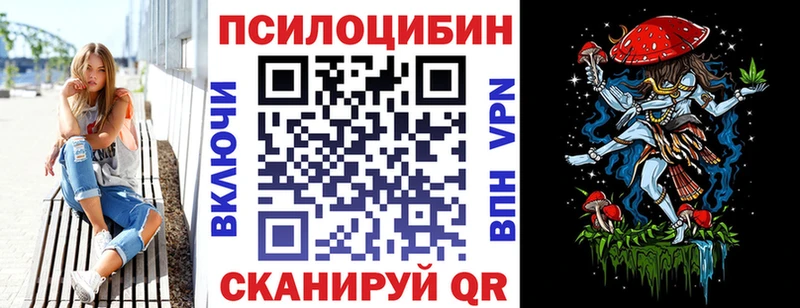 Купить Власиха Псилоцибиновые грибы мицелий